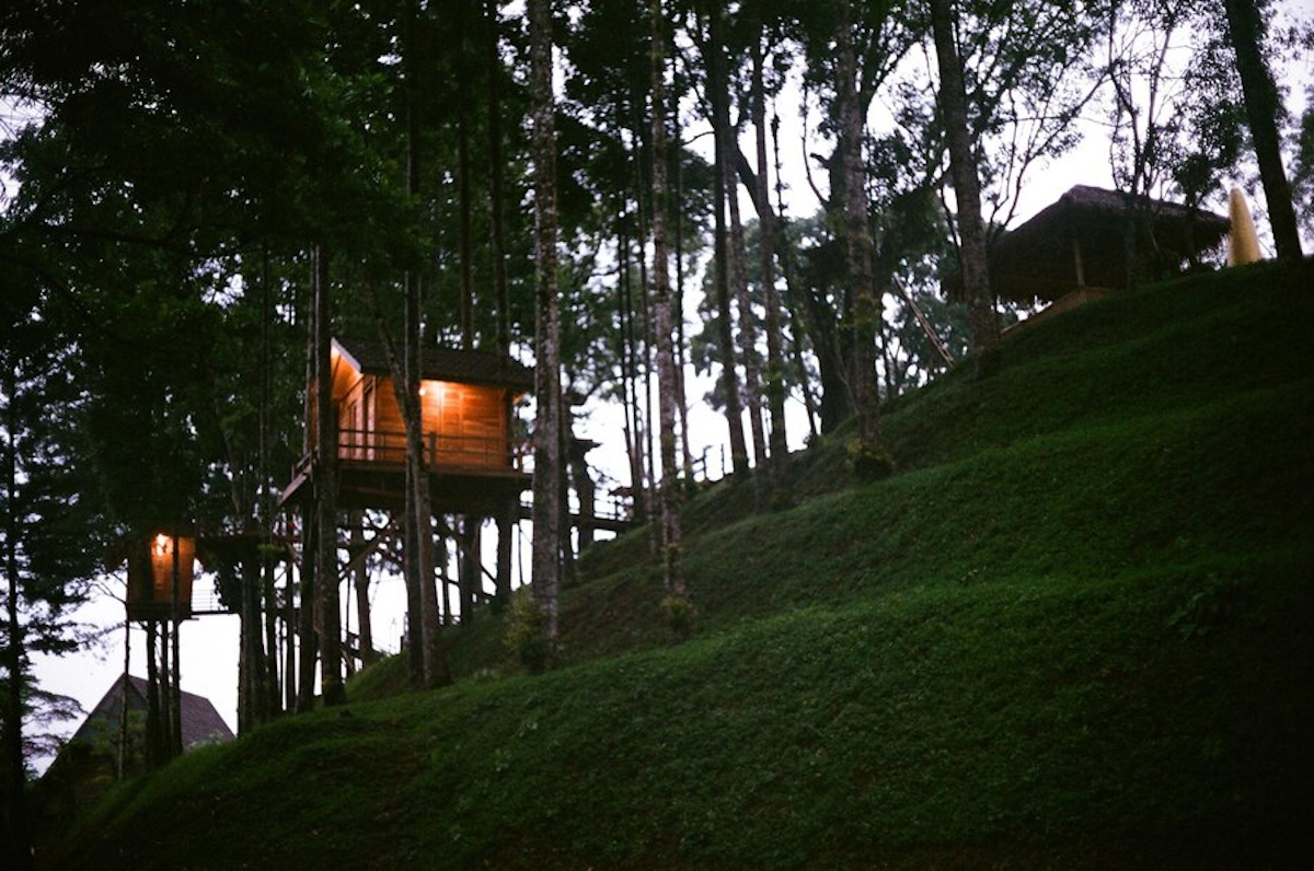 Hôtel dans arbre
