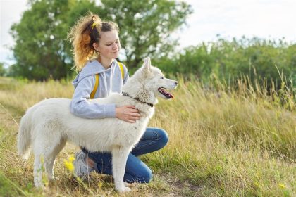 soins des animaux de compagnie âgés