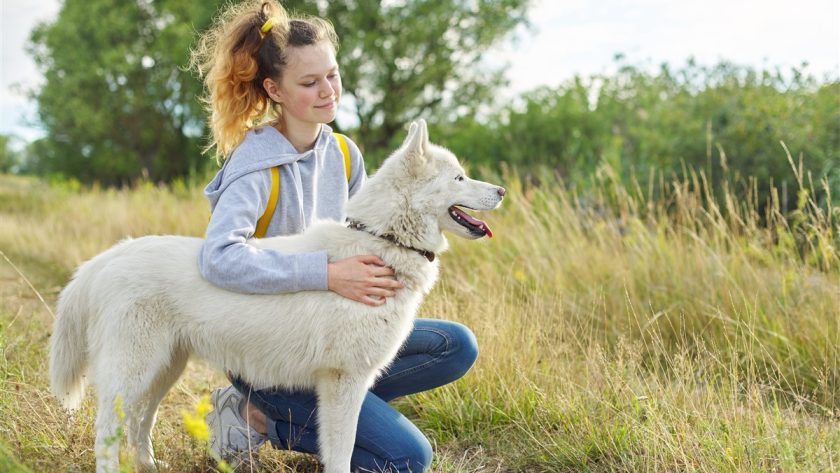 soins des animaux de compagnie âgés