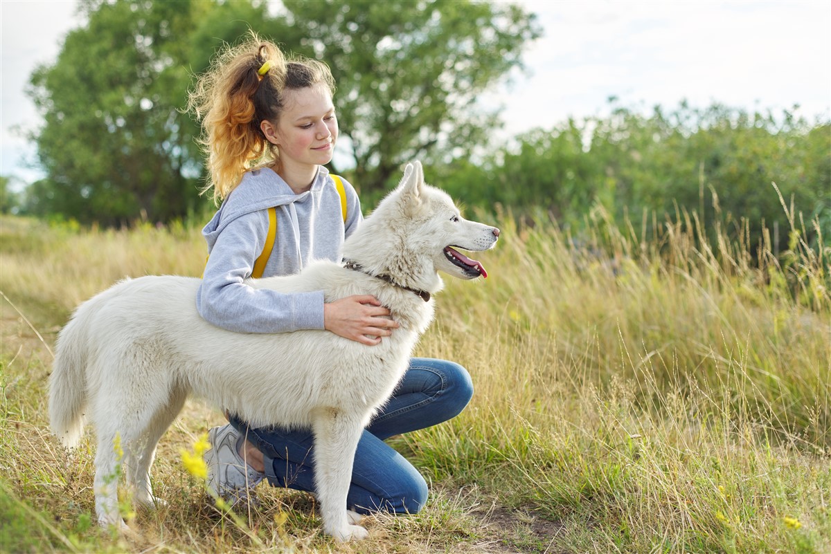 soins des animaux de compagnie âgés